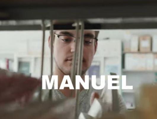 Manuel - FSS