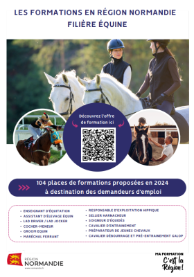 Normandy Horse Meet Up