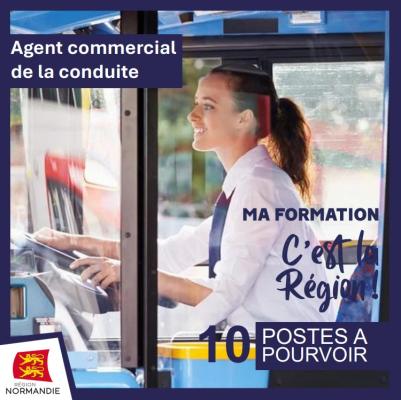 agent commercial de la conduite